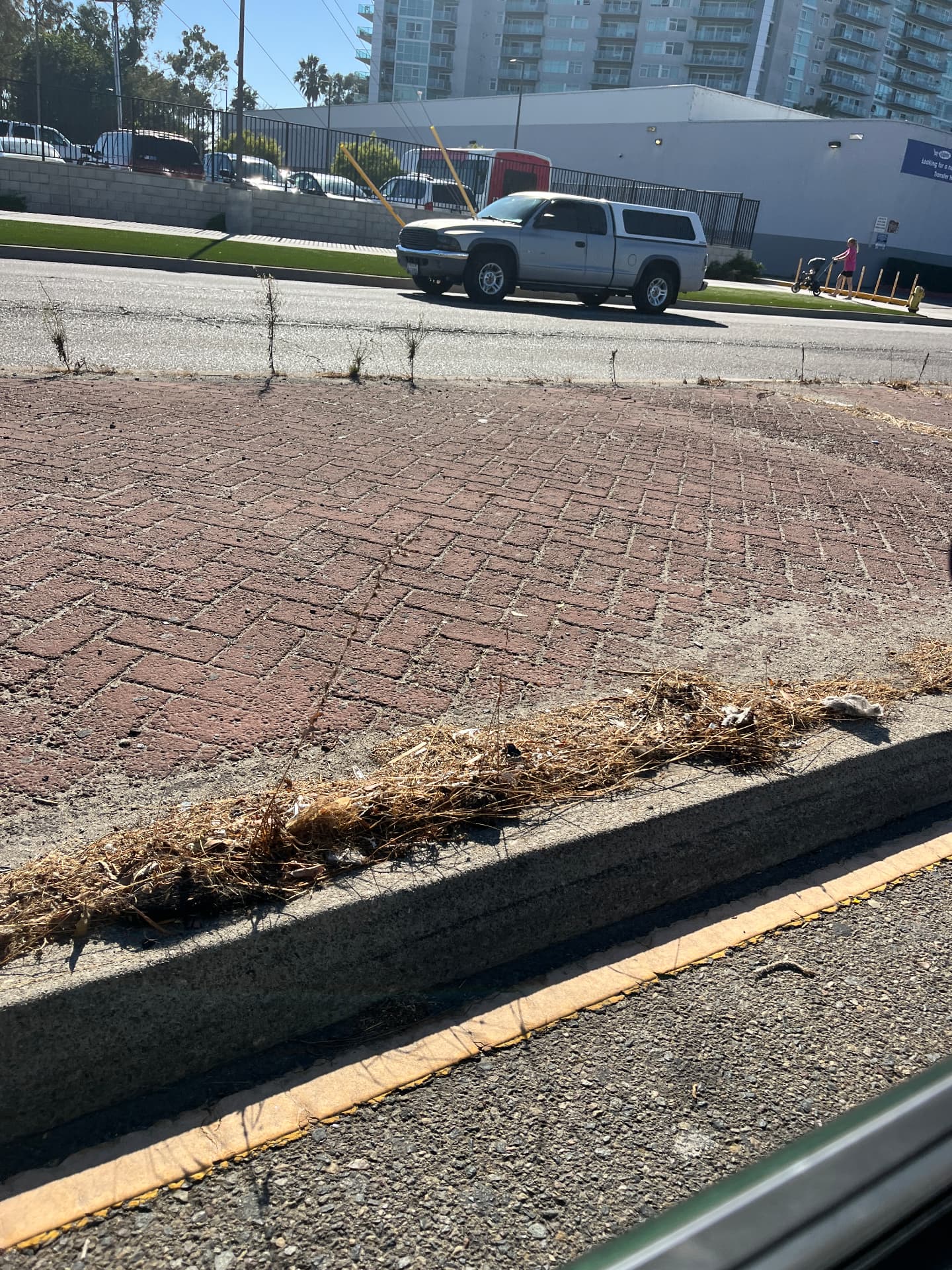 Before: weeds, dry grass and litter along the Marina del Rey corridor curb